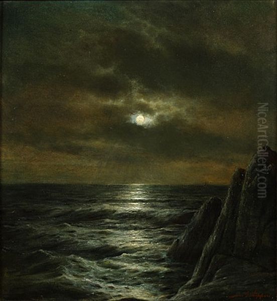 Maanlicht Over De Zee - view 1