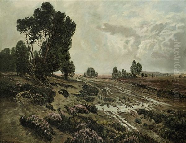 Heidelandschaft - view 1
