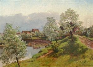 Apple Blossoms Near Hamburg