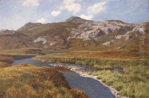 Ruisseau En Montagne