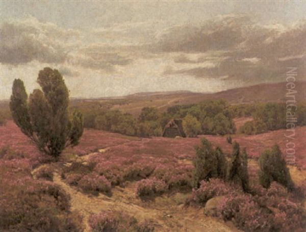 Luneburger Heide - view 1