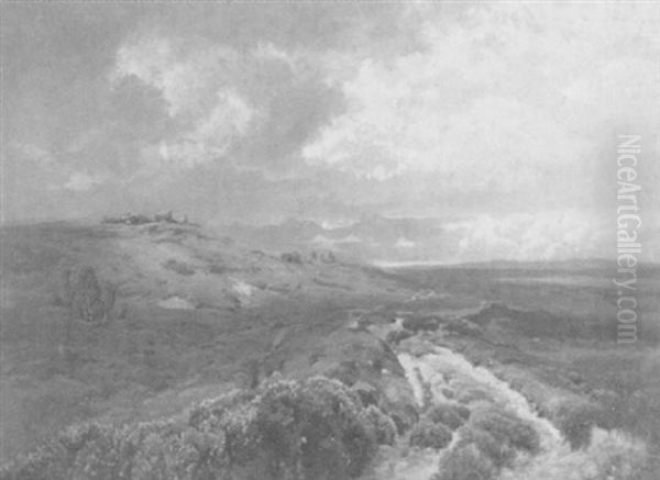 Heidelandschaft Bei Aufziehendem Gewitter - view 1