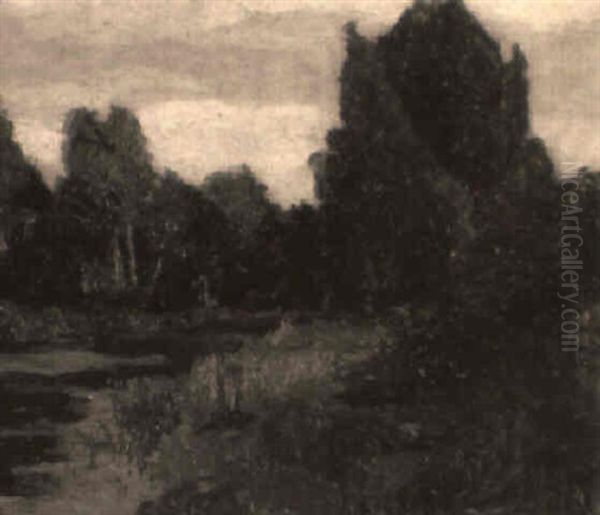 Sommerliche Fluslandschaft - view 1