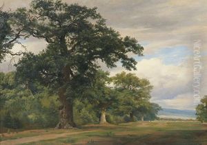Eichen Am Waldrand Eichen Am Waldrand