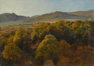 Kastanienwald In Italienischer Landschaft