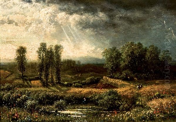 Paisaje - view 1