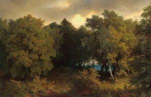 Waldlandschaft Waldlandschaft