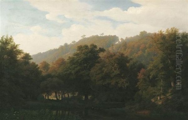 Sommerliche Waldlandschaft Mit Kleinem See - view 1