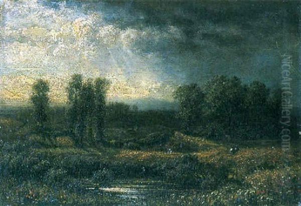 Paisaje - view 1