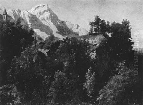 Baumbestandene Felsige Hugelkuppe - view 1