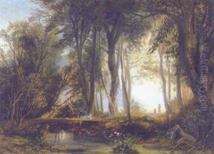 Auf Der Au Bei Kassel