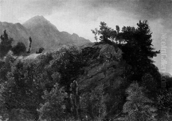 Baumbestandene Felsige Hugelkuppe - view 1