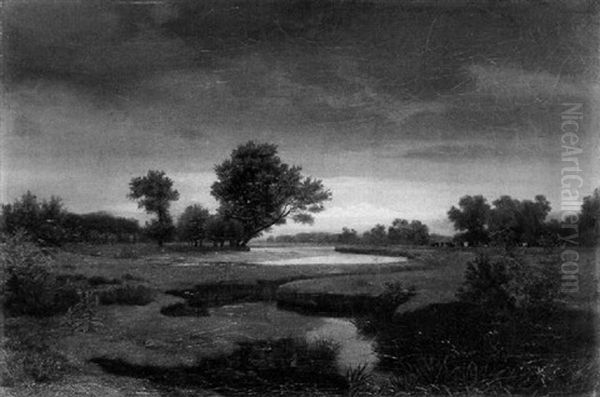 Wiesenlandschaft Mit Einem Fluschen - view 1