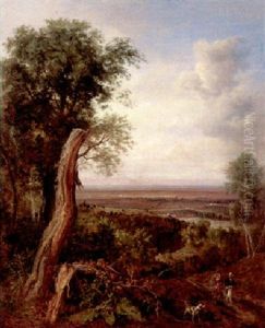 Blick Von Einer Anhohe Auf Weite Landschaft