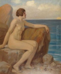 Akt Auf Einem Felsen Am Meer