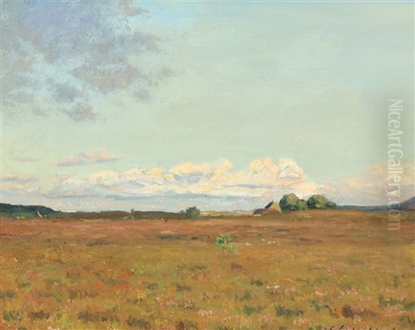 Eftermiddagsstemning Fra Sveibaek, Jylland 1904 - view 1