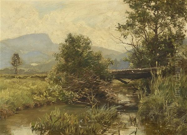Bachlauf In Vorgebirgslandschaft - view 1