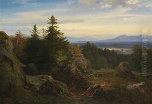 Chiemseelandschaft Mit Aussicht Auf Die Bayrischen Alpen