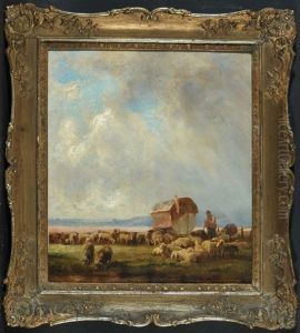 Schafer Mit Schafherde In Weiter Landschaft