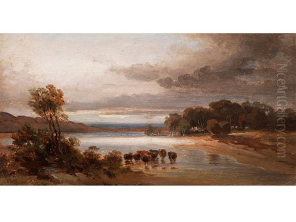 Landschaft Mit Rinderherde In Der Schwemme Bzw. Nordende Vom Pilsensee - view 1