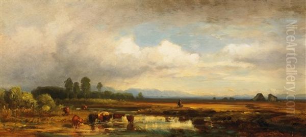 Oberbayerische Moorlandschaft - view 1