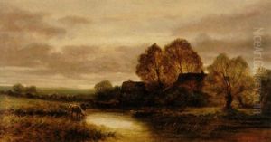 Trinkende Kuhe Im Dachauer Moos