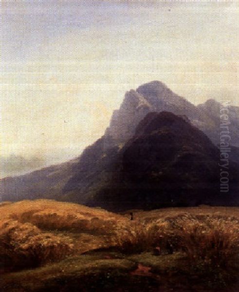 Reifes Kornfeld Vor Gebirgslandschaft - view 1