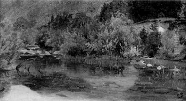 Altwasser - view 1