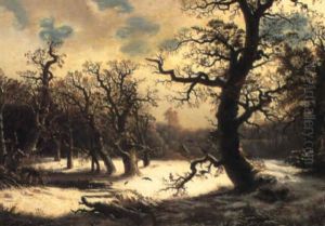 Eichenwald Im Winter