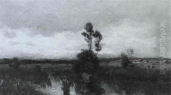 Moorlandschaft Im Voralpengebiet - view 1