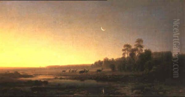Moorlandschaft Bei Abenddammerung Mit Einem Rudel Hirsche - view 1