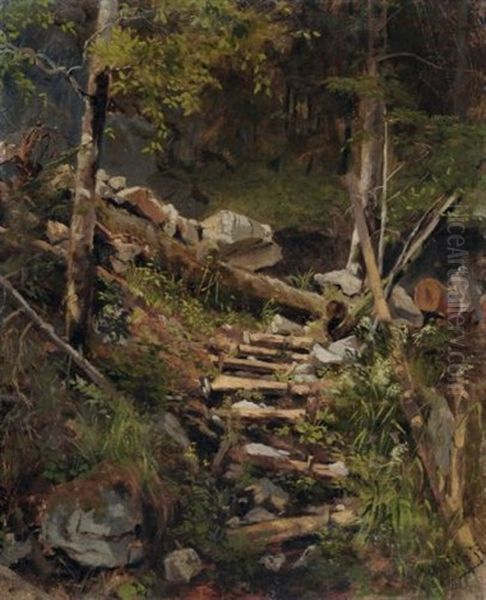Steinstufen Im Wald - view 1