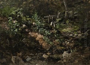 Waldstuck Mit Zaun
