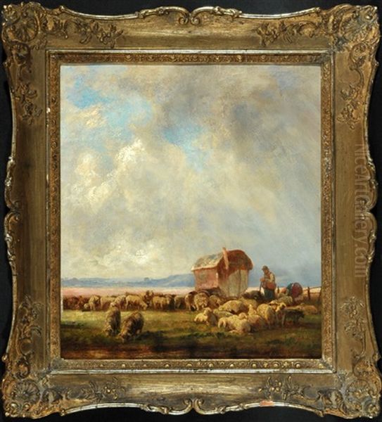 Schafer Mit Schafherde In Weiter Landschaft - view 1