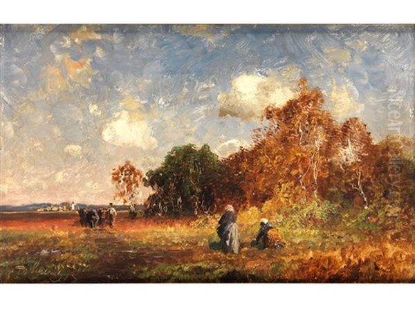 Kartoffelernte Auf Dem Feld - view 1