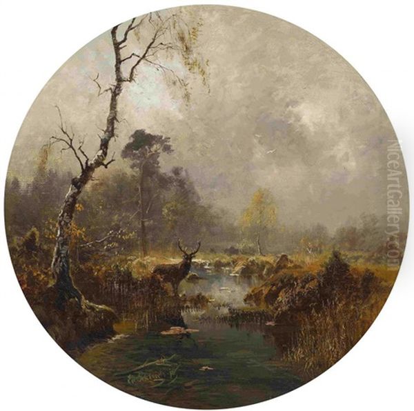 Hirsch In Moorlandschaft - view 1
