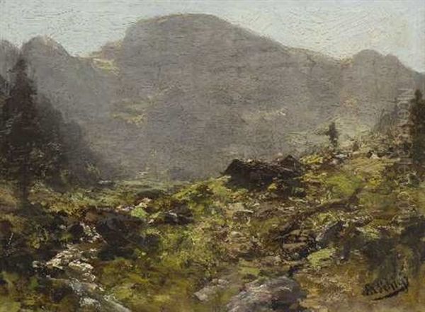 Hochalm - view 1