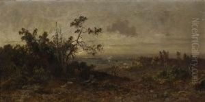 Waldlichtung Mit Rehen