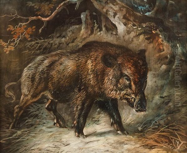 Wildschwein Im Unterholz - view 1
