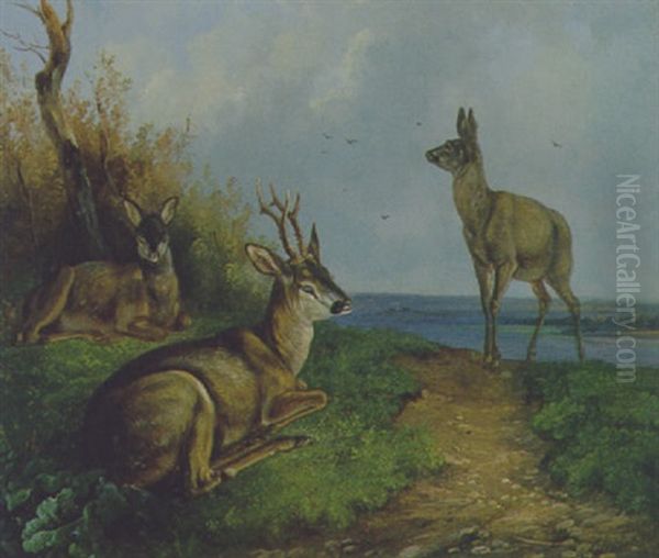 Drei Rehe In Landschaft - view 1