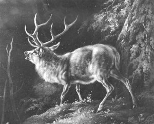Rohrender Hirsch by August Schleich