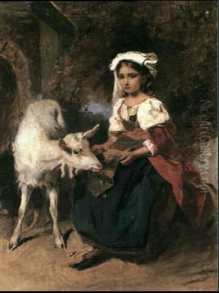 The Favourite Pet - view 1