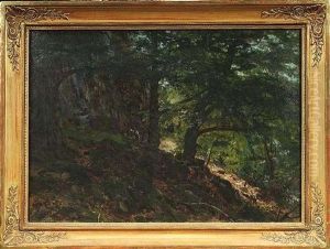 Wanderer In Felsiger Waldlandschaft