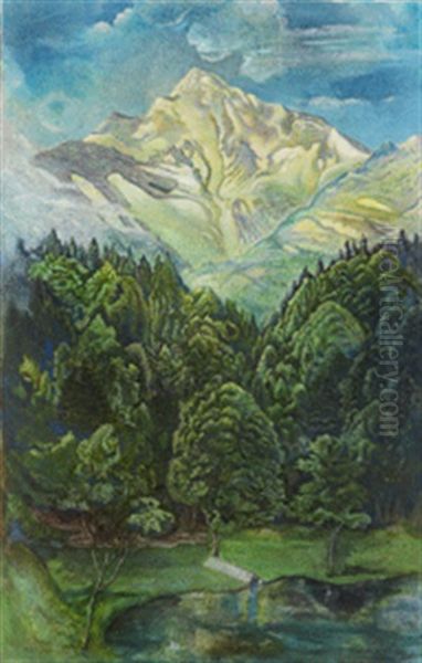 Der Schafberg - view 1