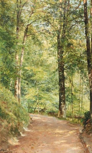A Summer Day In The Woods - view 1