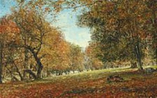 Autumn Landscape With Defoliation - view 1