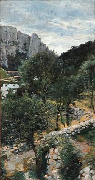 Southern Landscape With Olive Trees - view 1