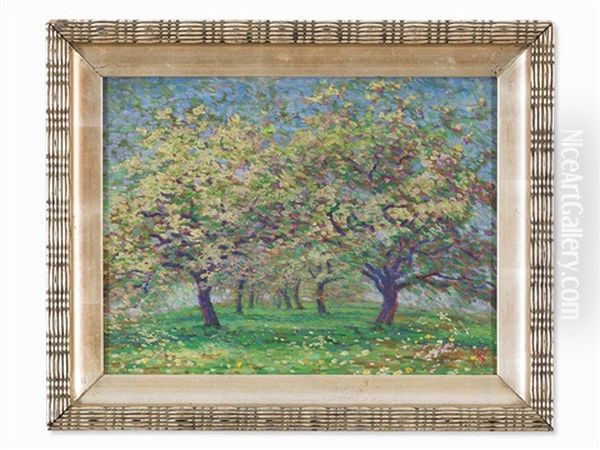 Apple Trees At Lake Constance, Germany - view 1