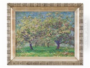Apple Trees At Lake Constance, Germany