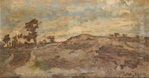 Vue Des Dunes Vue Des Dunes